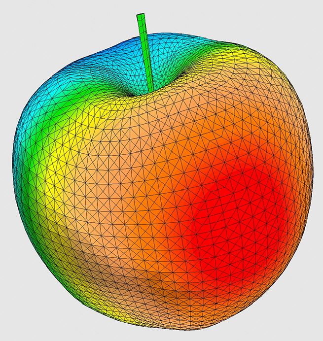 Apfel FEM